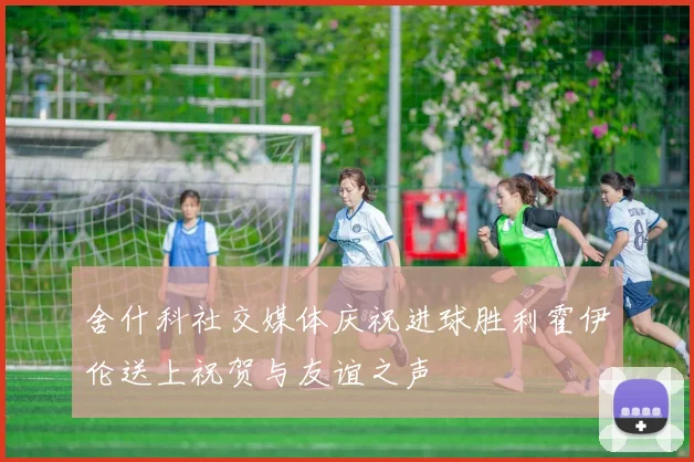 舍什科社交媒体庆祝进球胜利霍伊伦送上祝贺与友谊之声
